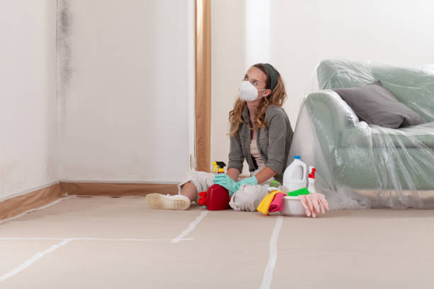 Reliable Black Mold Removal contractor in Sunnyvale, TX by WQB Mold Removal